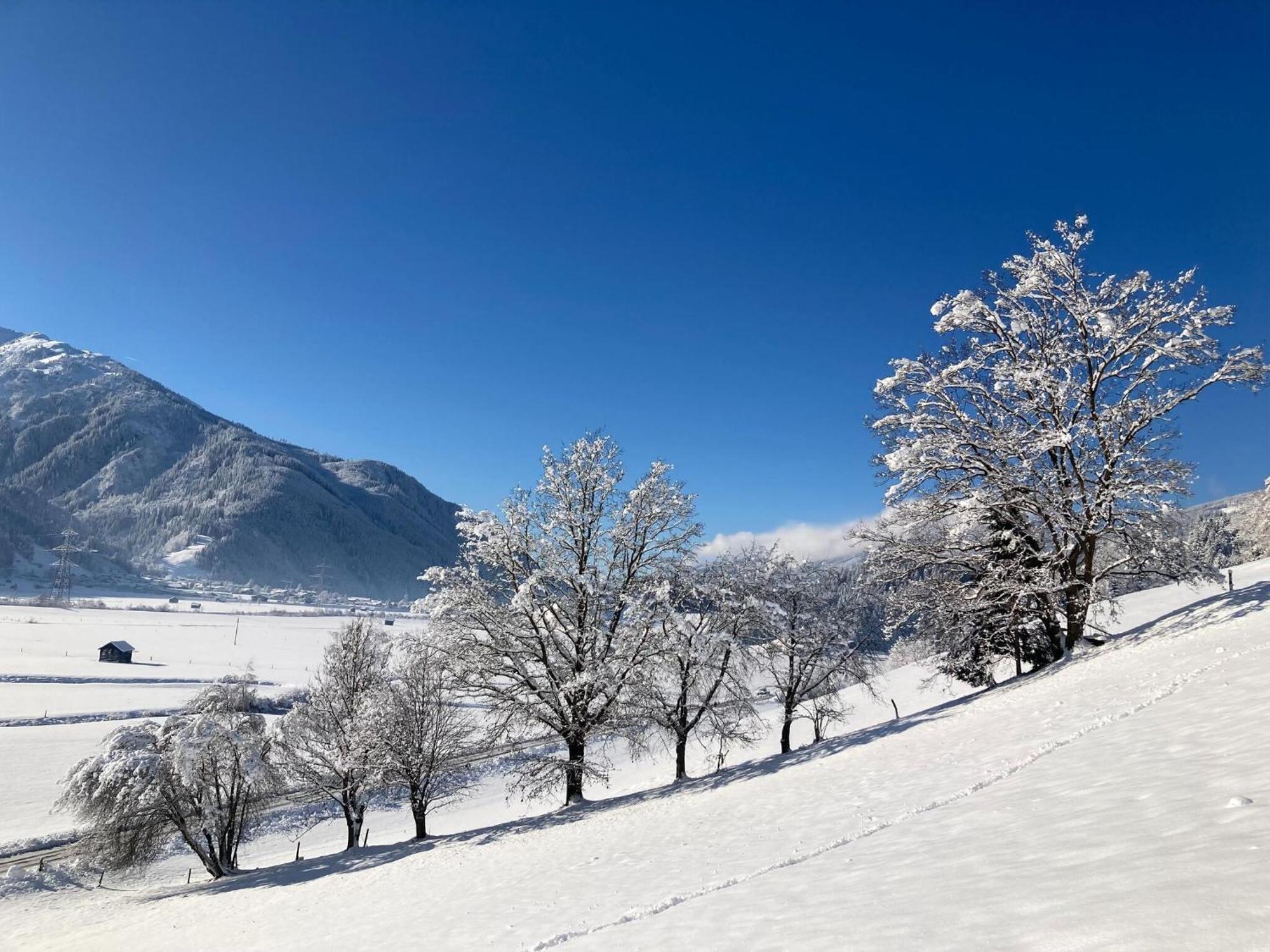 Holiday Apartment In Pinzgau With A Large Terrace Mittersill Exteriör bild
